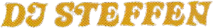 Logo von DJ Steffen